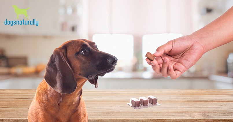 Are These Chewable Flea And Tick Preventives Safe For Dogs?